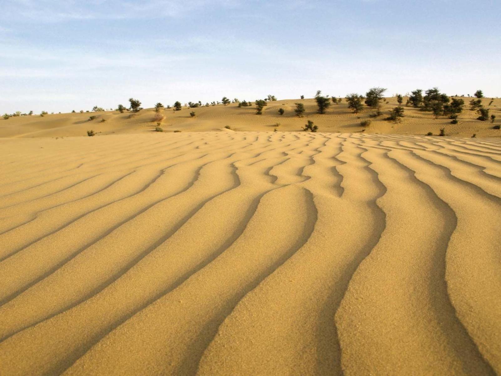 Sam Dunes Desert Luxury Camp & Resort Jaisalmer Eksteriør bilde